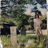 Let's Build a Campfire There - Ariel Pink