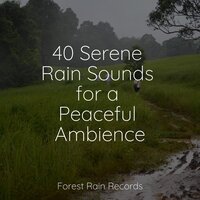 Water, Creek, Birds, Morning - Deep Sleep Meditation & The Sleep Helpers & Academia de Meditação Buddha