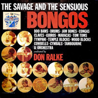 Zulu Magic - Don Ralke