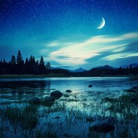 Gentle Night Soothing Harmony - Lofi Stranger & Climate Hive & Noise and Nature