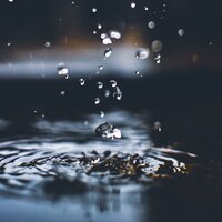 LoFi Rain in the Shed - Sounds Of Nature: Thunderstorm & Sons da Natureza Relax & Sleep Sound Library