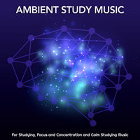 Studying Music - Focus and Concentration - Einstein Study Music Experience