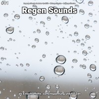 Regen Sounds, pt. 79 - Regengeräusche in hoher Qualität & Naturgeräusche & Regengeräusche