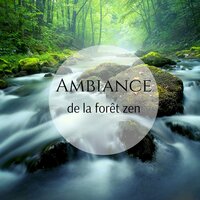 Ferme tes yeux - Zen Méditation Ambiance & Relaxing Nature Sounds Collection