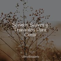Cielos Altísimos - Musica Relajante Para Estudiar & Escola de Meditação & Meditacion