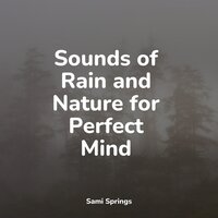 Forest, Calm Wind, Birds, Insects - Zen Meditate & Deep Sleep Music Delta Binaural 432 Hz & Guided Meditation Music Zone