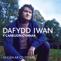 Merch Y Mynydd - Dafydd Iwan