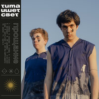 собака - тима ищет свет