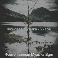 Созерцая (Фокус) - Фортепианная Музыка Bgm