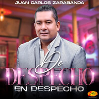 Si No Puedo Ser Tu Amor - Juan Carlos Zarabanda