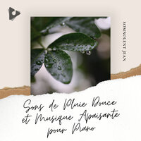 Sons pluie douce pour soulager l'anxiété - Somnolent Jean & Musique Relaxante et Détente & Musique de Sommeil Relaxant