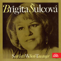 Ave Maria - Brigita Sulcova
