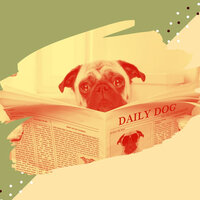 Relaxing Well Behaved Dogs - Doggy Relaxing Sounds