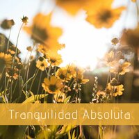 Modo Relax Activado - Nuevo Horizonte