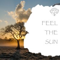 Nature Sounds - Field Recording - Nature Sounds & Natural Spirit