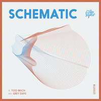 Too Much - Schematic