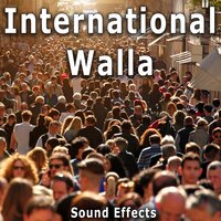 Dublin, Ireland: Large Outdoor Crowd on Pedestrian Street - Sound Ideas
