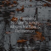 Wetland, Rain, Puddle, Frogs - Spa Zen & Sounds of Nature: Thunderstorm, Rain & Sleep Recording Sounds