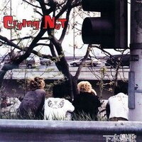 양귀비 - Crying Nut