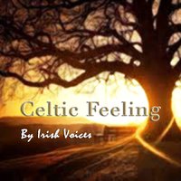 Wide Awake - Liz Madden & Shishonnah & Irish Voices