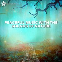 Going Back (Forest Sounds) - Relaxing music & Meditation and Relaxation & Hong Kong Meditation