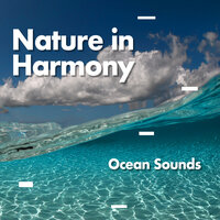 Mild Thunderstorm - Ocean Sounds
