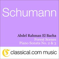 Piano Sonata No. 2 in G minor, Op. 22 - Rondo: Presto - Prestissimo - Abdel Rahman El Bacha & Роберт Шуман