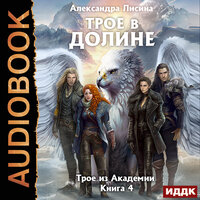 Александра Лисина. «Трое из Академии. Книга 4. Трое в долине». Часть 4 - Нелли Новикова