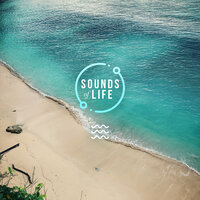 Light Beach Waves, Pt. 9 - Sounds Of Life