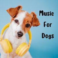 Peace and Tranquility - Music for Dogs Peace & Music for Dogs & Relaxing Puppy Music & Calm Pets Music Academy