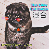 Non- Fiction - Ghostbot Jet