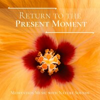 Meditation Techniques - Naturescapes for Mindfulness Meditation & Acupuncture Music Master