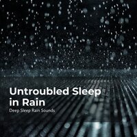 Dusk Rain Thrumming - Deep Sleep Rain Sounds & Rain Sounds Collection & Rain Meditations