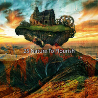 Reborn In Nature - Sounds of Nature Noise