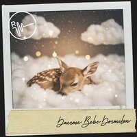 Zen Sleep Symphony - Dog Relaxation & Canciones De Cuna Para Dormir Bebes & Dog Music