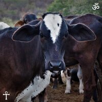 Olhos de Mel - Kaíque Guerra & Rapha Mello
