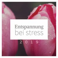 Beseitigen Sie Traurigkeit - Entspannungsmusik Dream
