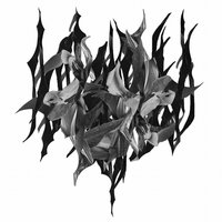 Limerence - Yves Tumor