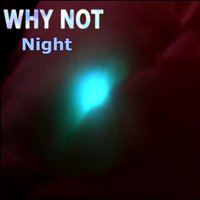 I Can't Live Without Your Love - Why Not