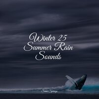 Birds at Sunset - Saludo al Sol Sonido Relajante & Natural Sample Makers & Soothing Music Academy