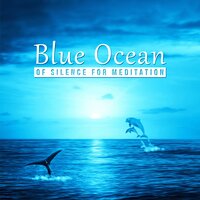 Music for Reiki, Sea and Birds Sounds - Mothers Nature Music Academy