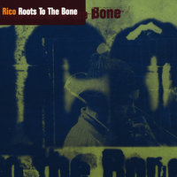 Fire Stick - Rico Rodriguez