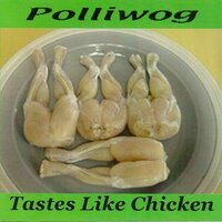 Garbage Man - Polliwog