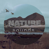 Mountain Birds And Countryside Part 22 - White Sounds