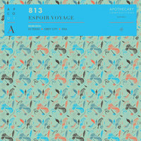 Village - 813 & Obey City