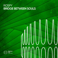 Bridge Between Souls - Rospy