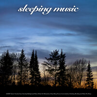 Soothing Bird Music For Sleep - Sleeping Music & Sleeping Playlist & Lluvia del Bosque