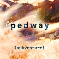 Go No Tex - Pedway & Matthew Golombisky & Quin Kirchner & Caroline Davis