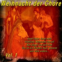 Lieb Nachtigall, wach auf - Münchner Symphony Orchester