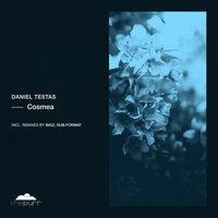 Cosmea - Daniel Testas & dub.format